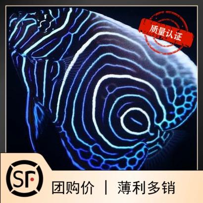 蓝圈图标