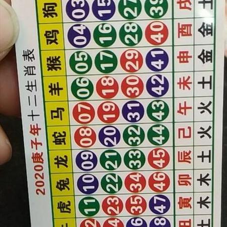 买马生肖号码表