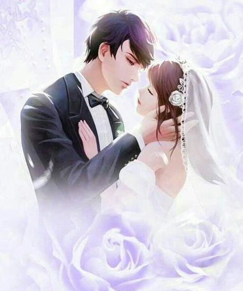 甜宠小萌妻免费阅读