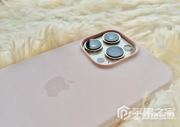 和平精英刘海屏挡住了怎么办图标