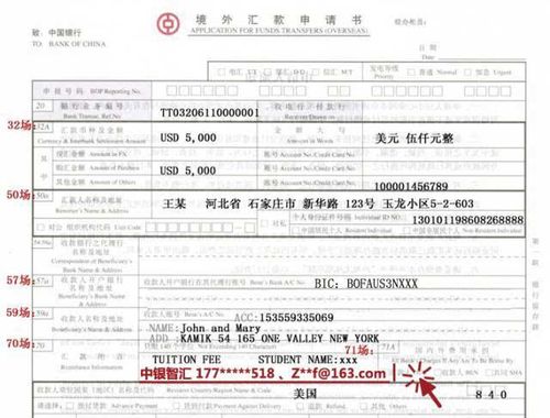 国外汇款到中国银行需要什么
