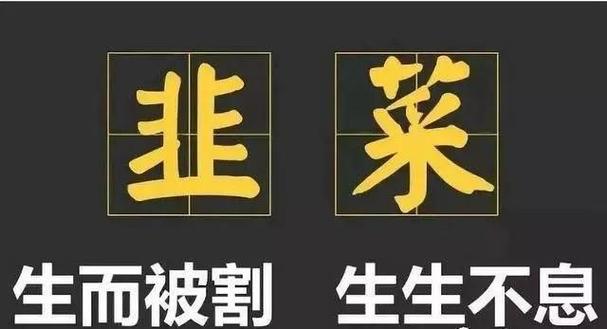 写脚本赚钱图标