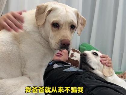 给爸爸当小狗笔趣阁小说