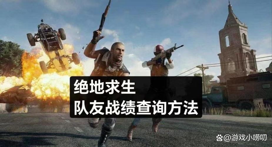 吃鸡怎么看历史战绩队友资料图标