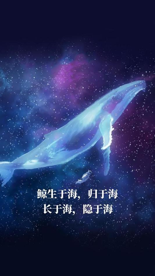 鲸落的唯美视频图标