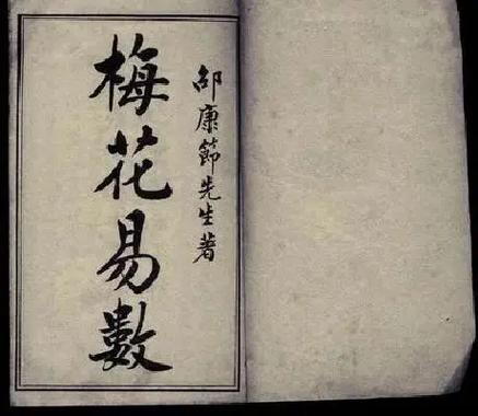 邵雍梅花易数图标