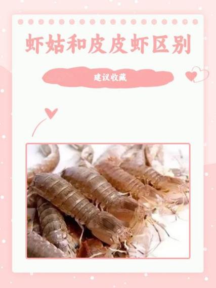 皮皮虾影视