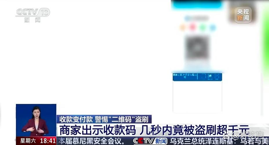 支付宝付款码被盗刷