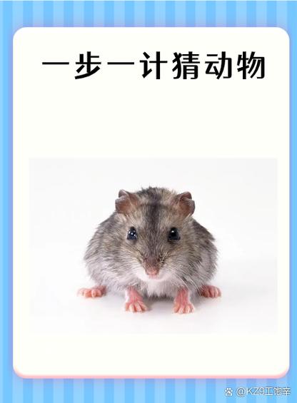 四姐干活不点灯猜一动物图标
