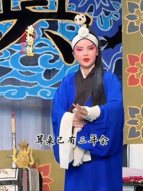 荆州花鼓戏李天保全集图标