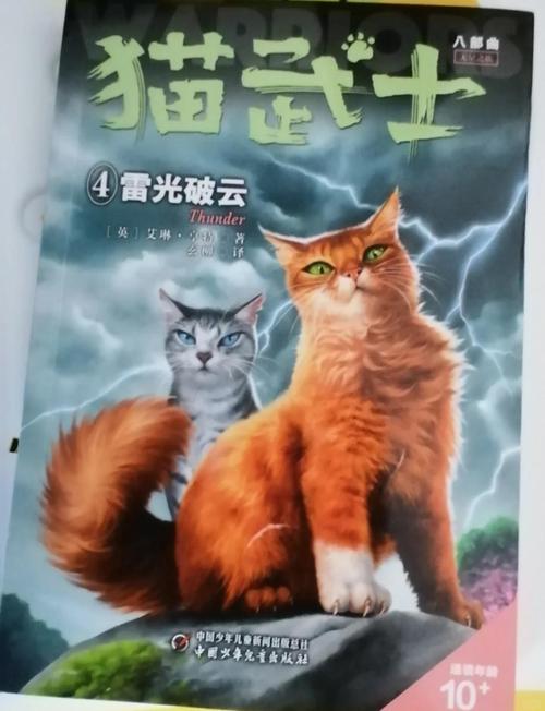 猫十六的作品合集TXT