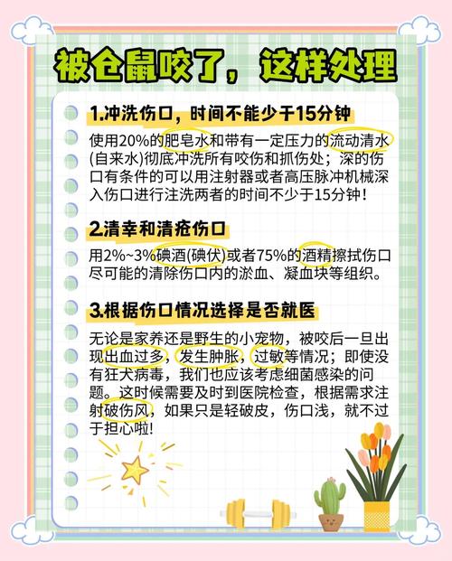 被自家养的仓鼠咬了要打针吗