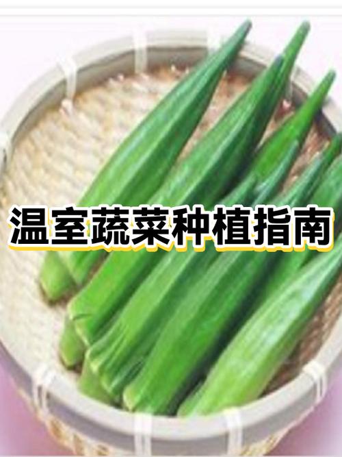种植蔬菜的小方法