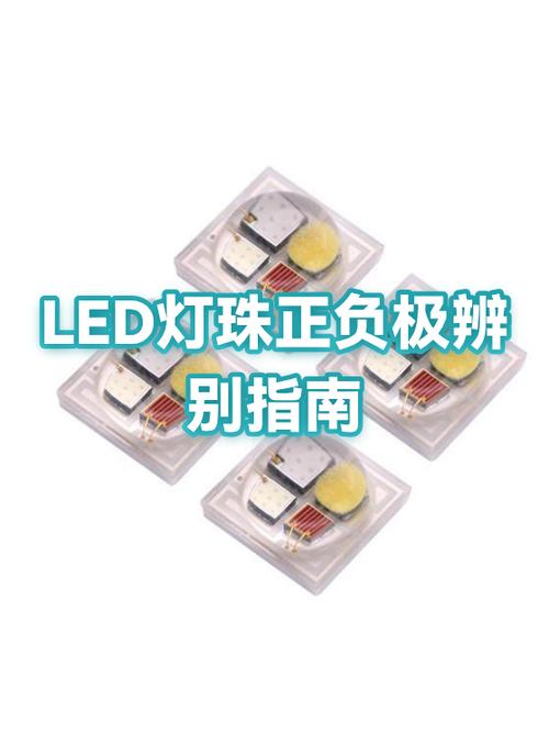 LED灯有没有正负极
