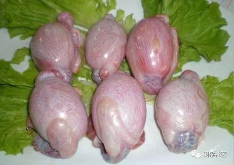 男人睾丸可以煮熟吃吗
