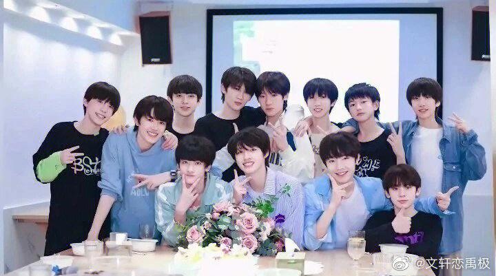 tf家族三代成员