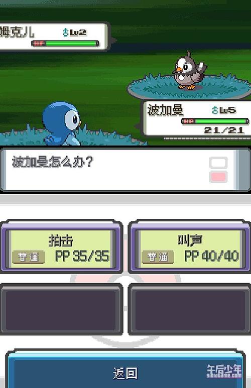 nds宝可梦删除存档