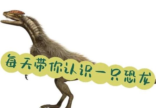 我的恐龙礼包码是什么