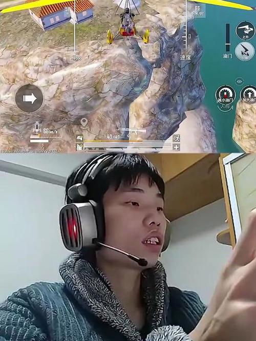 鲨鱼和平合集