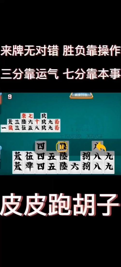 湖南皮皮跑胡子官网版