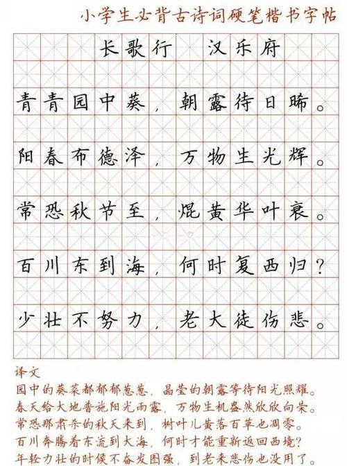 硬笔楷书字体下载图标