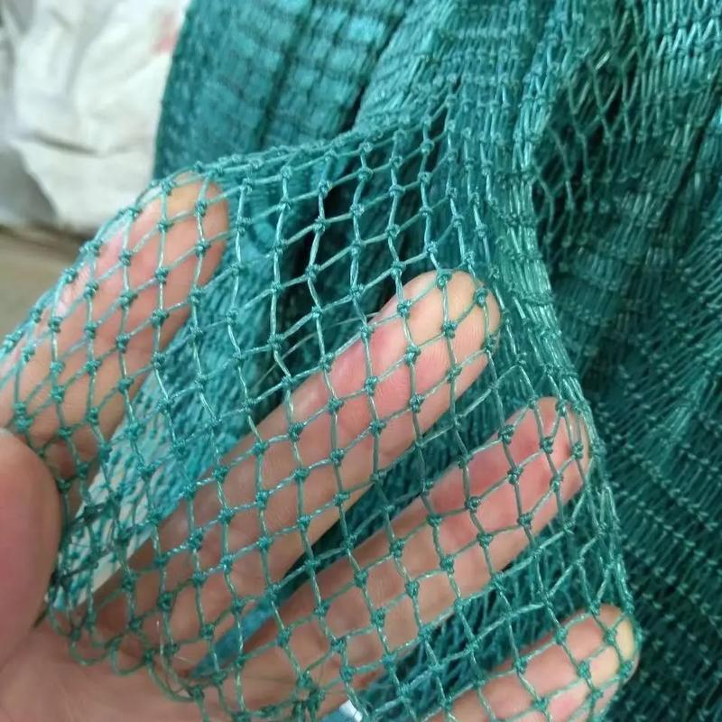 东海龙网