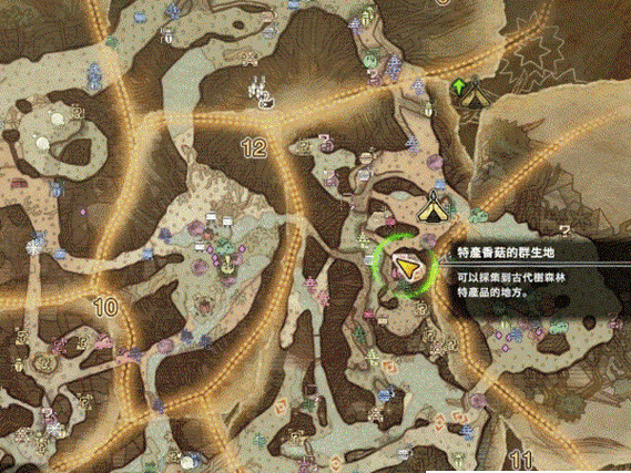 古代树森林营地计划之2怎么触发图标