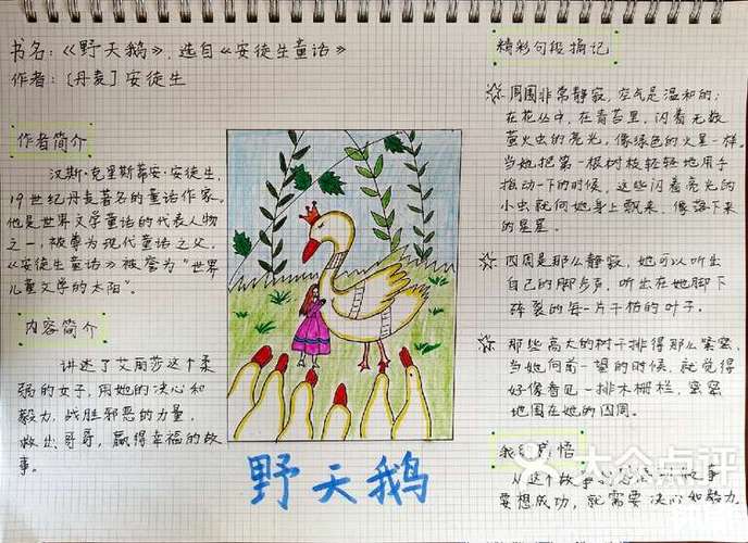 三年级阅读短文天鹅图标