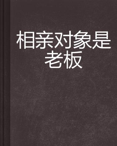 《相亲对象是老板》小说