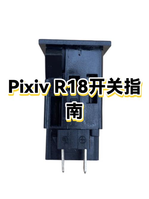 pixivr18开关在哪图标