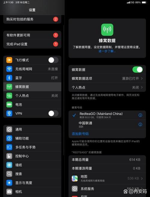 ipad的蜂窝设置不见了图标