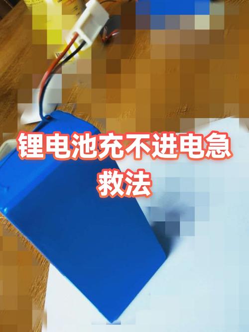 充电锂电池充不进去电如何修复