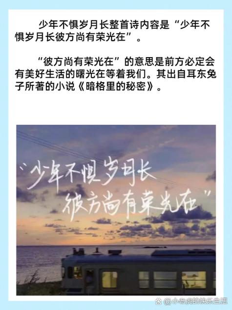 年少不惧岁月长下一句