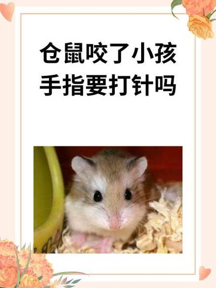 被家里养的仓鼠咬了怎么办