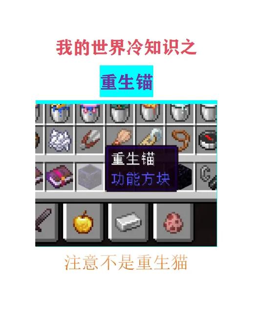 我的世界你不知道的冷知识