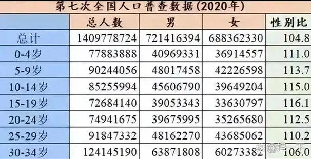 2020年人口普查总人口