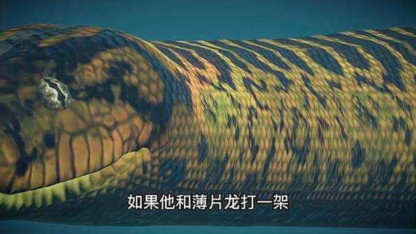 沧龙大战泰坦巨蟒谁更厉害