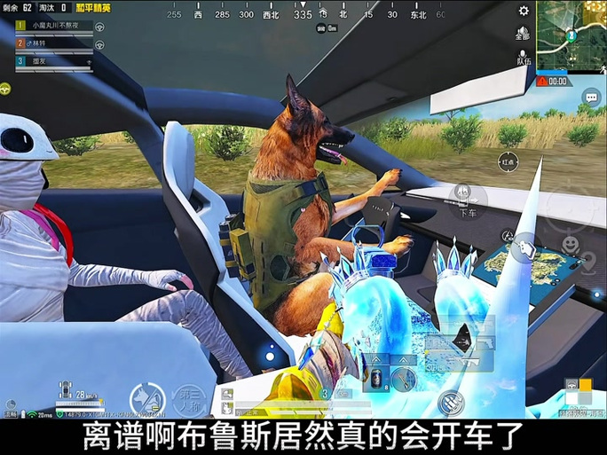 如何在和平精英里面头狗图标