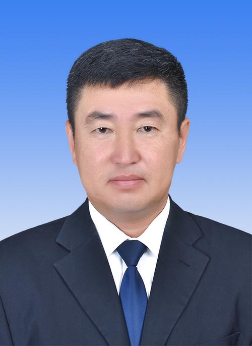 辽宁省阜新市政府网站图标