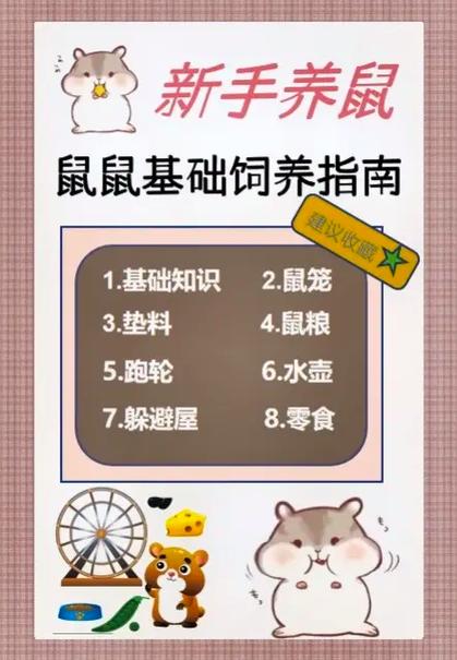 养仓鼠的注意事项