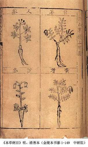 本草纲目有多少种药材