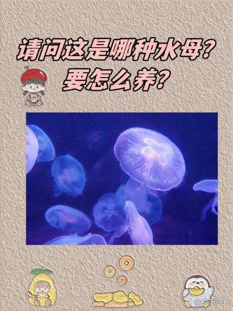 自家养水母会繁殖吗