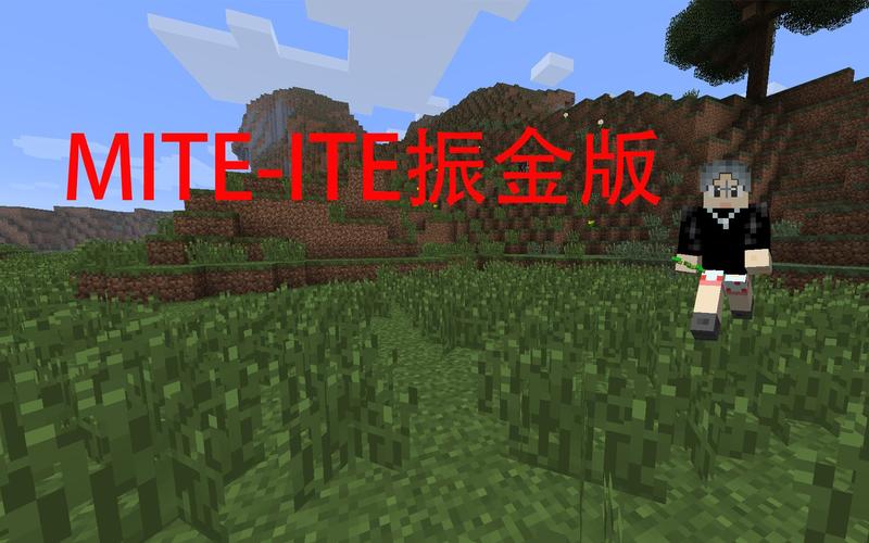 我的世界贝爷生存木棍