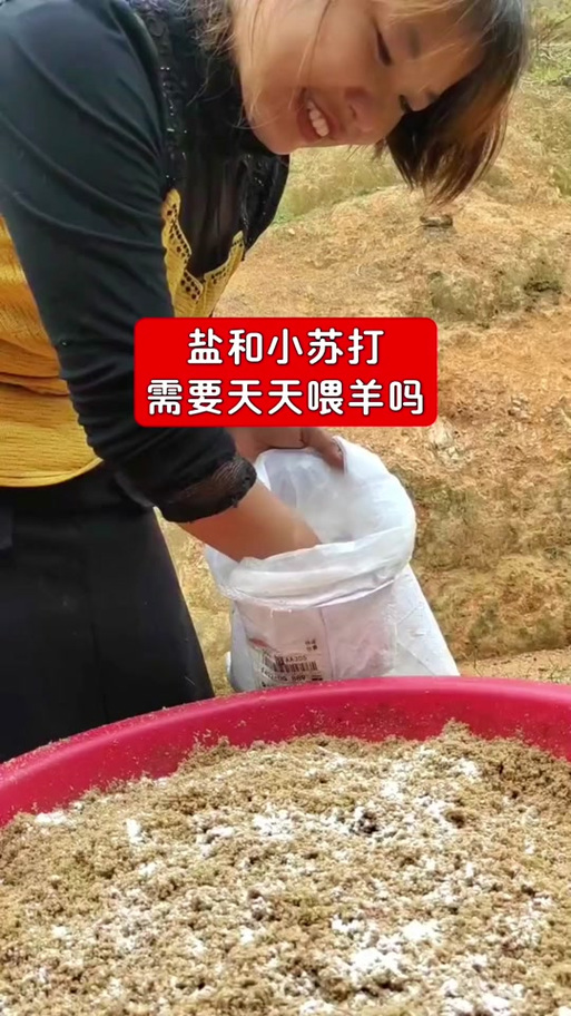 盐能不能天天喂羊吃