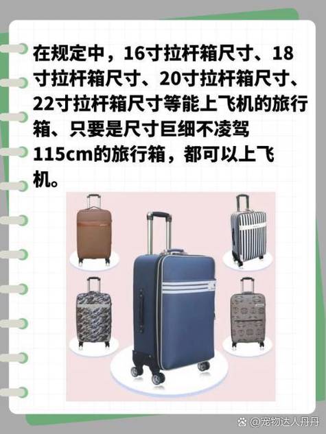 行李箱带飞机标准尺寸