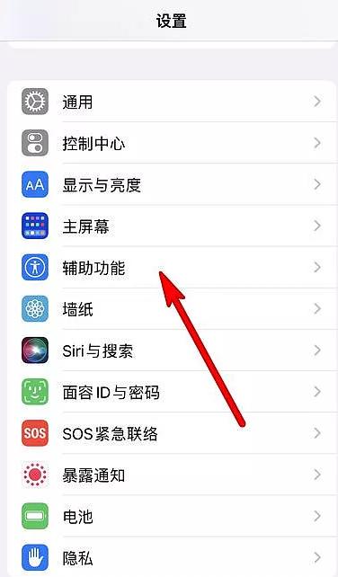 苹果设置搜索建议怎么关闭图标
