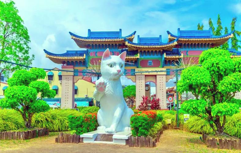 宝猫城是什么平台