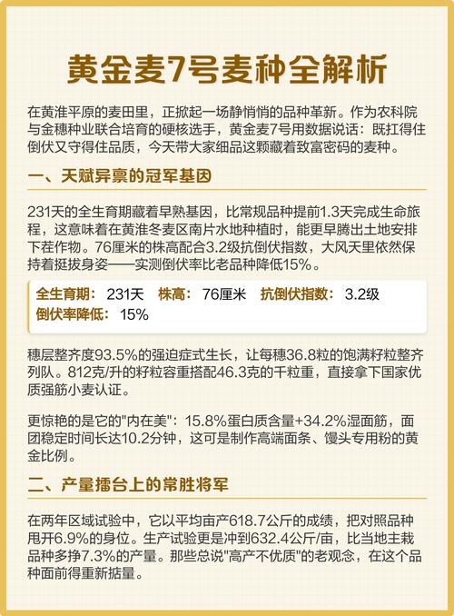 一颗麦种阅读答案