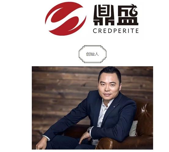 鼎盛集团是做什么的图标