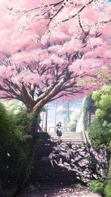 樱花动漫视频观看完整版